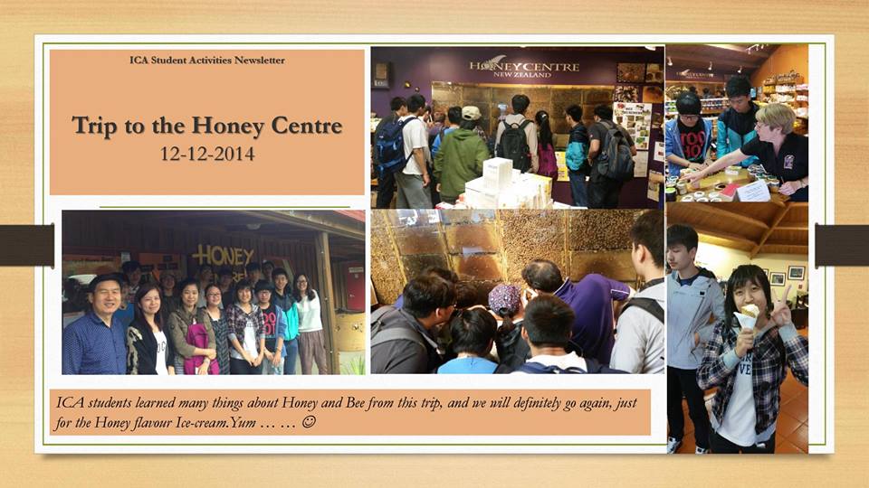 Honey Center